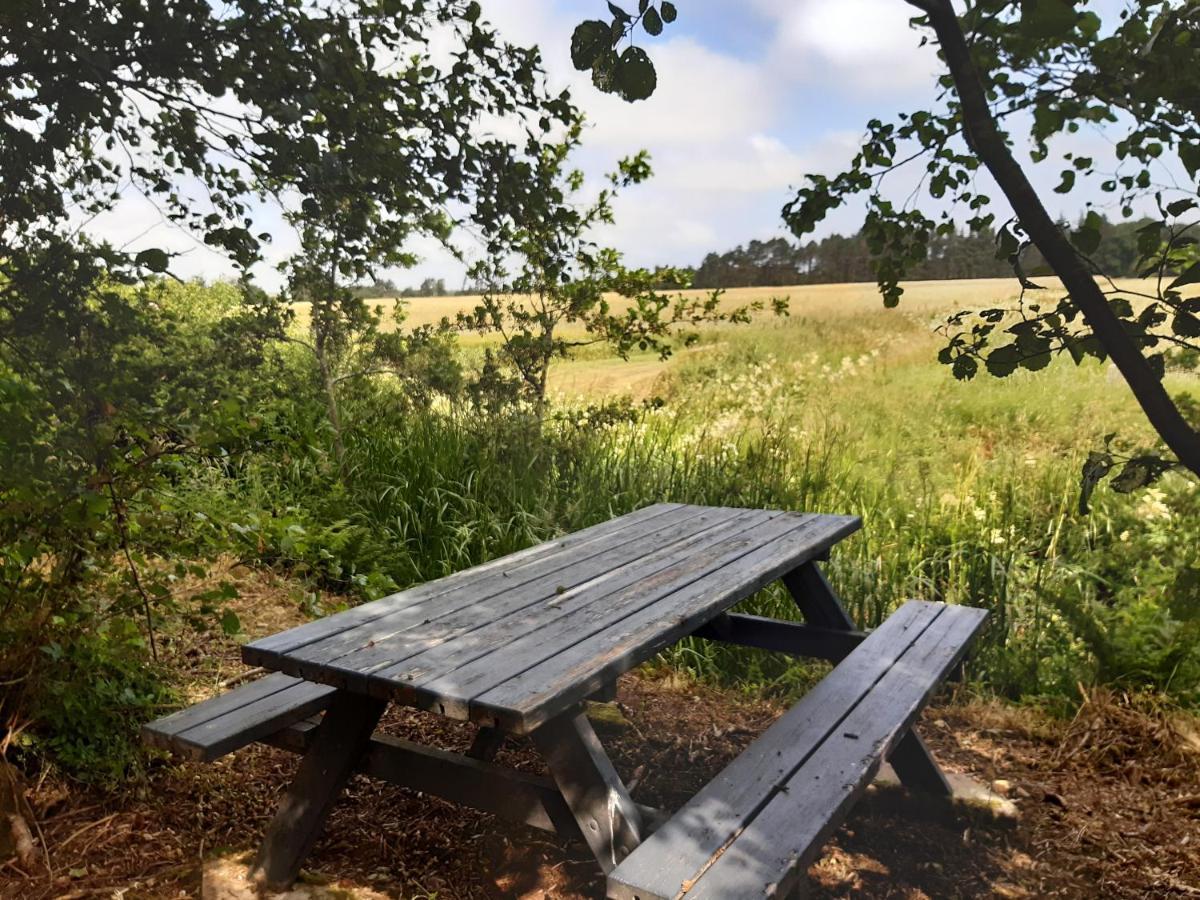 Rejkjaer Camping Hytter & Lejligheder Ulfborg Exterior foto