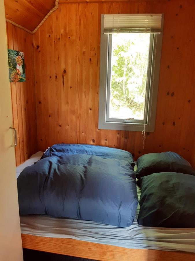 Rejkjaer Camping Hytter & Lejligheder Ulfborg Exterior foto